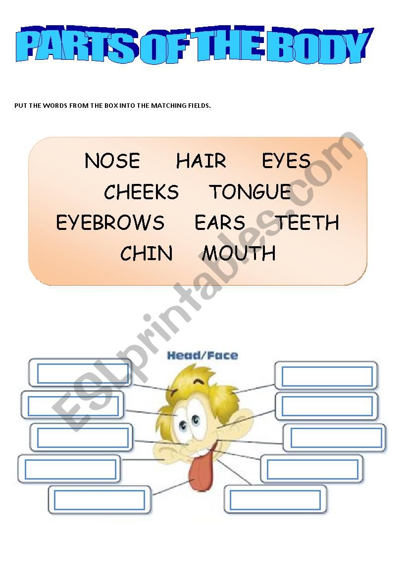 Parts of the body worksheet