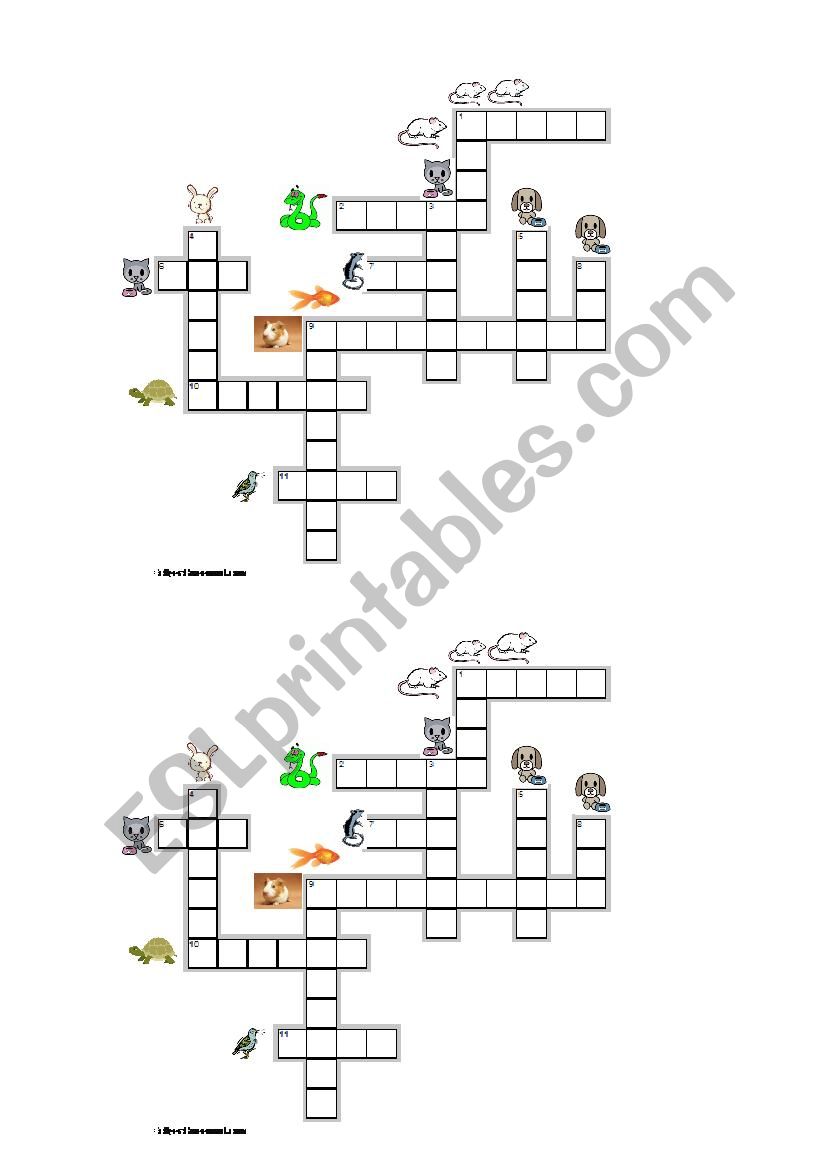 crossword about pets worksheet