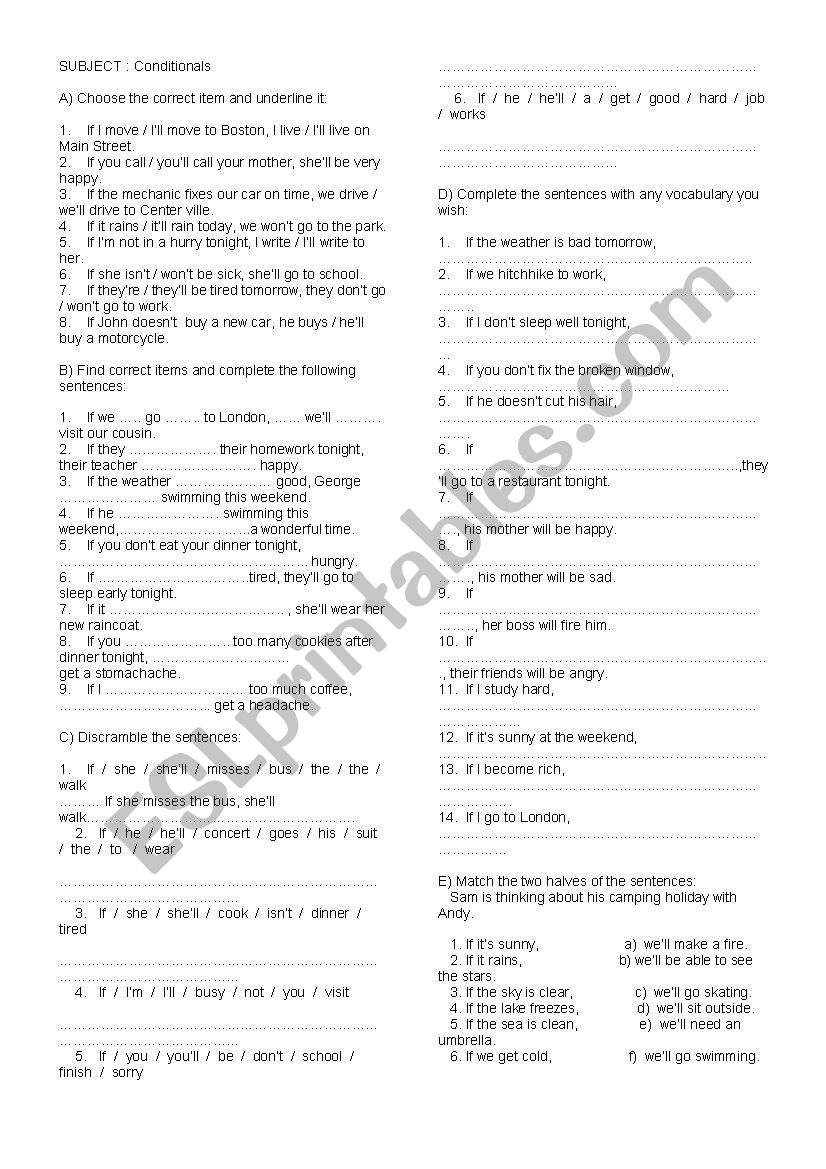 CONDITIONAL EXERCÝSES worksheet