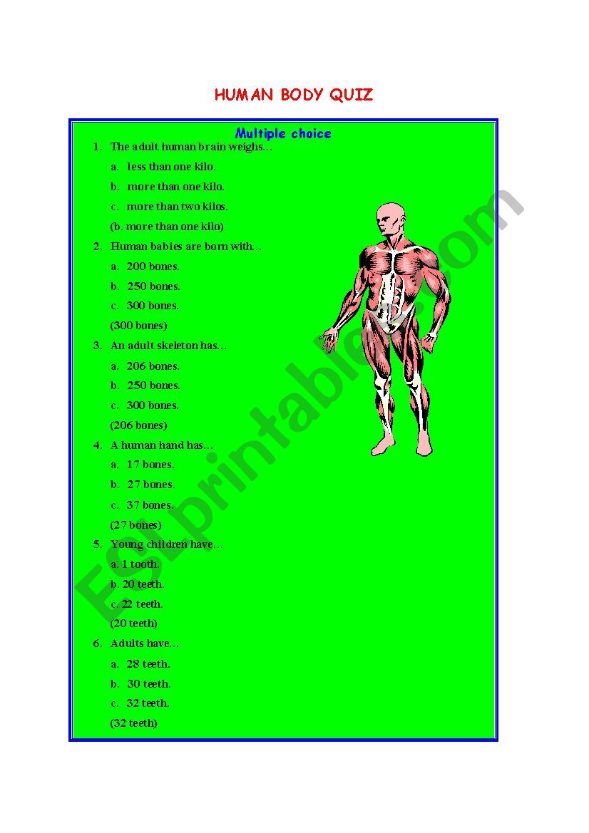 Human body quiz worksheet