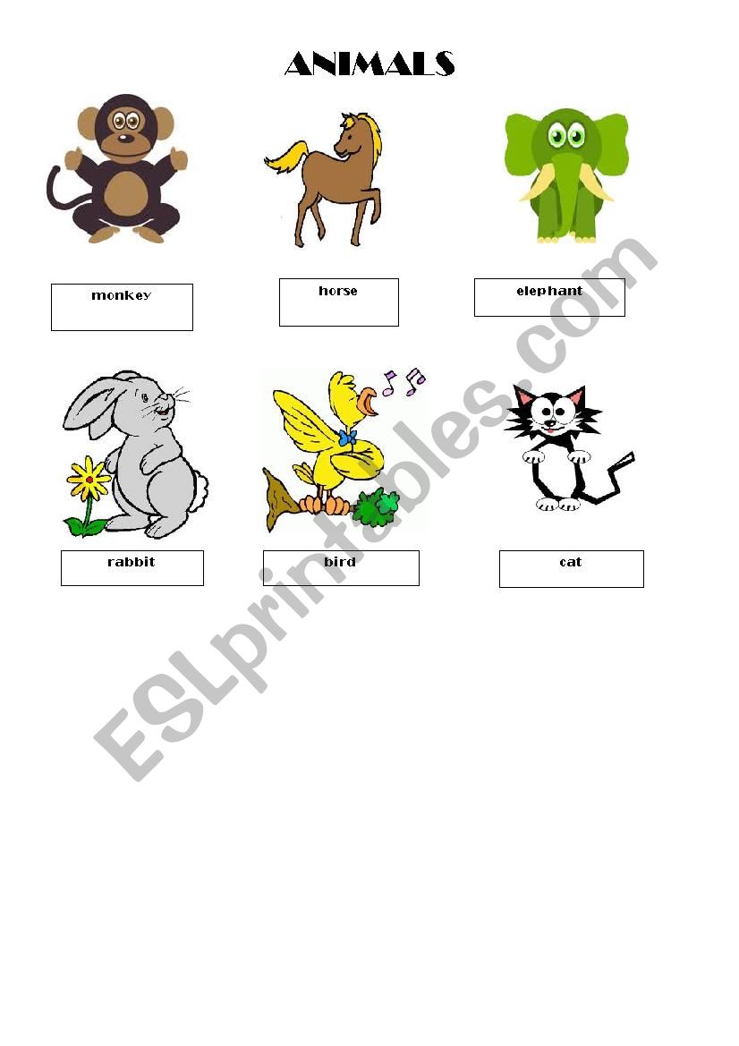 animals worksheet