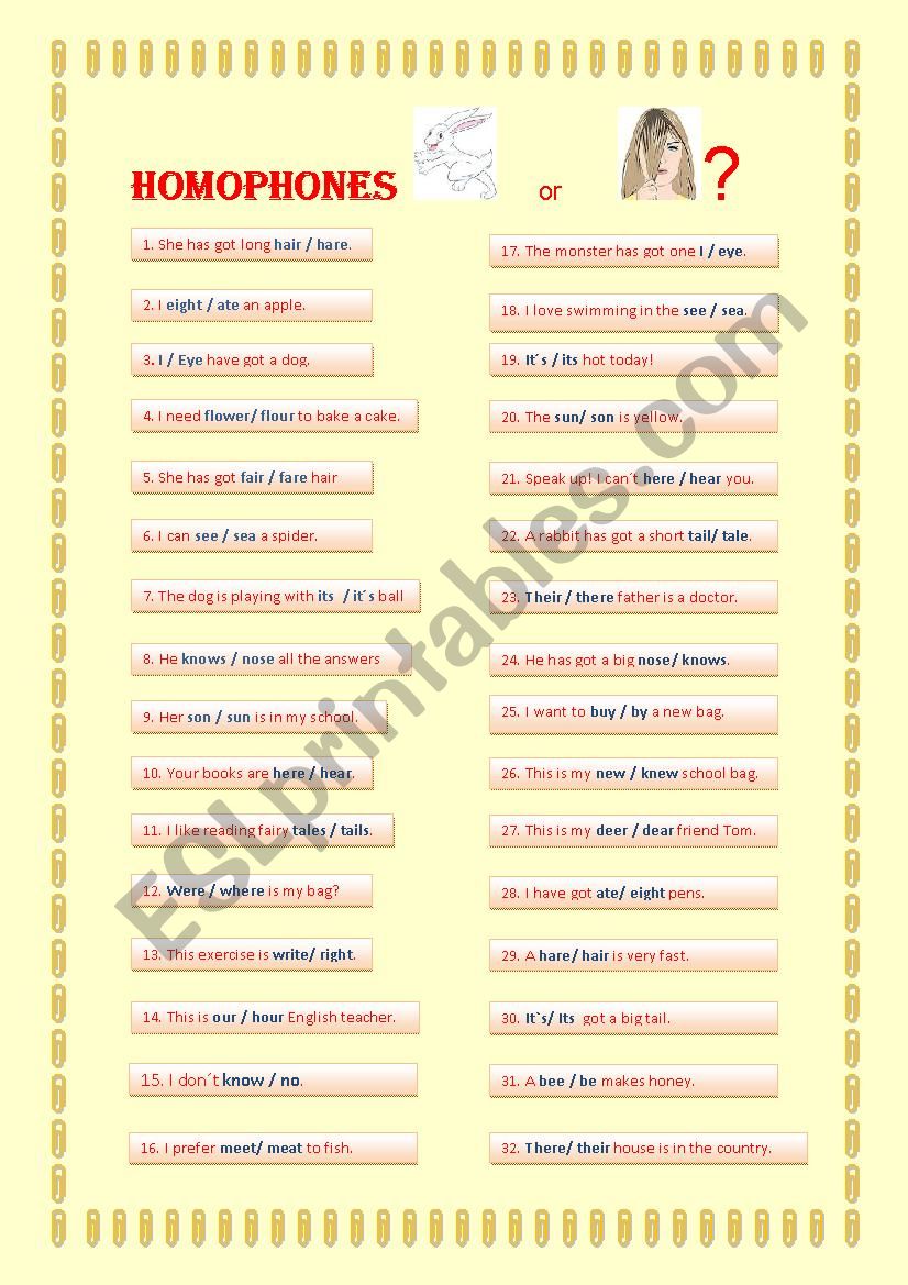 HOMOPHONES worksheet