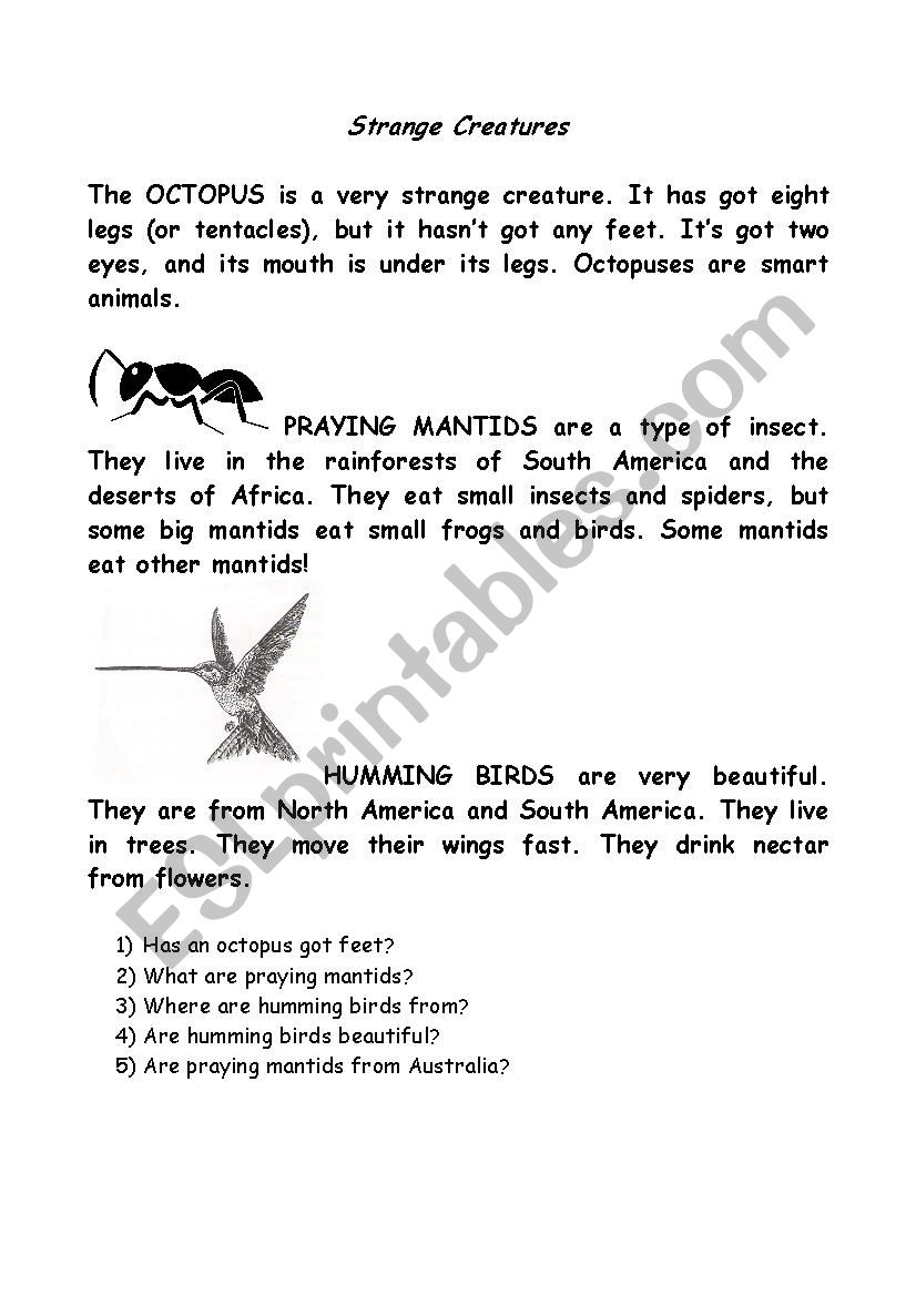 Strange creatures worksheet