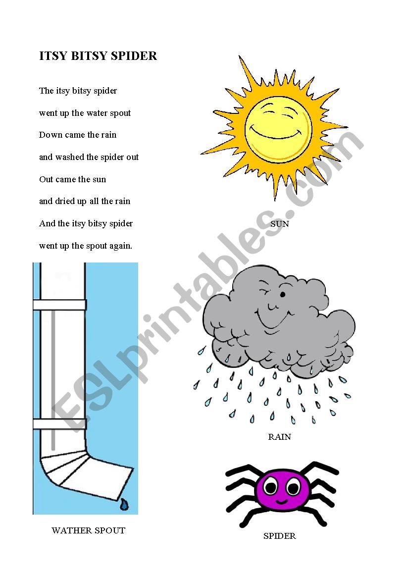 Song: Itsy bitsy spider worksheet