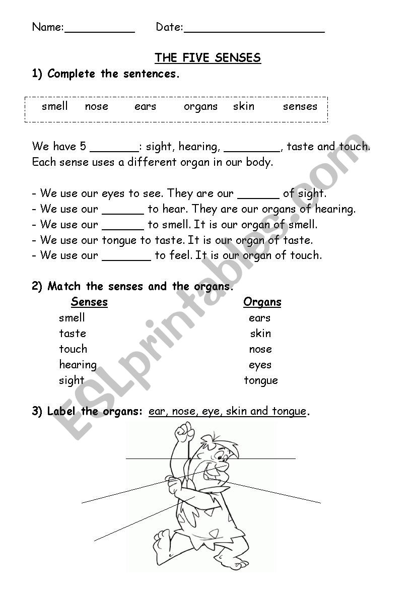 Five senses worksheet