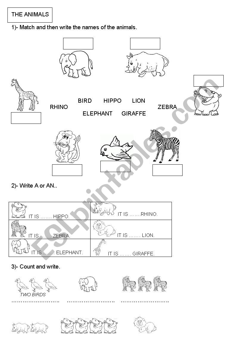 ANIMALS (A-AN) worksheet