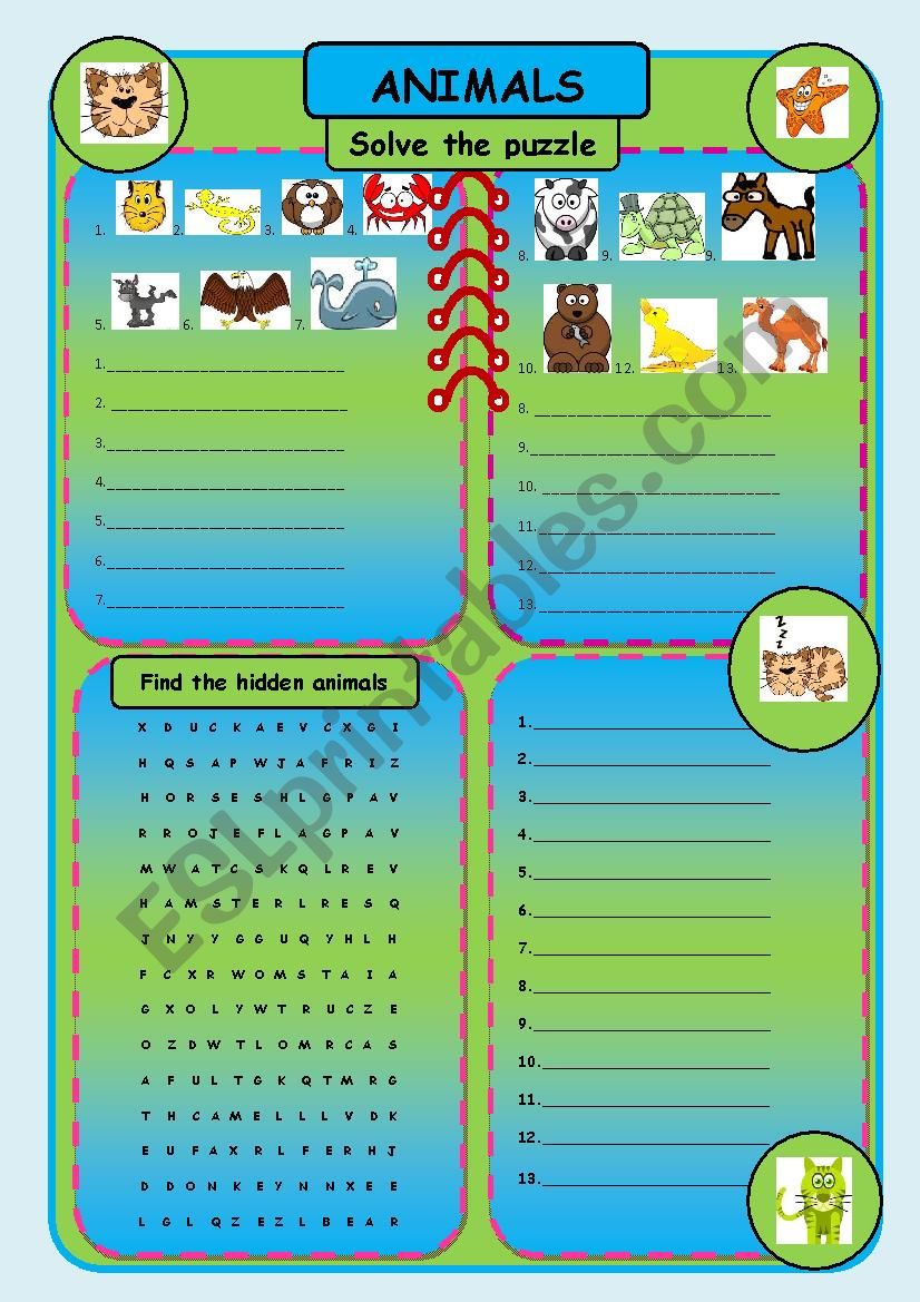 animals worksheet