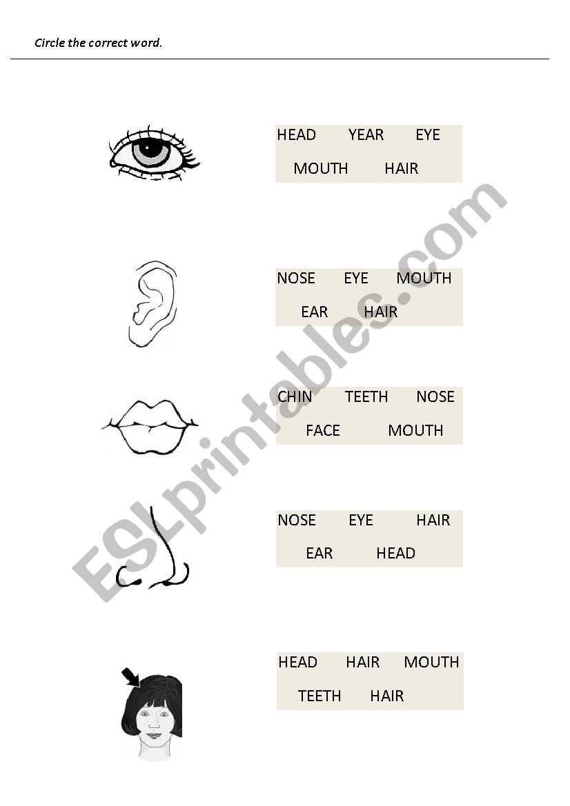 body parts - face  worksheet