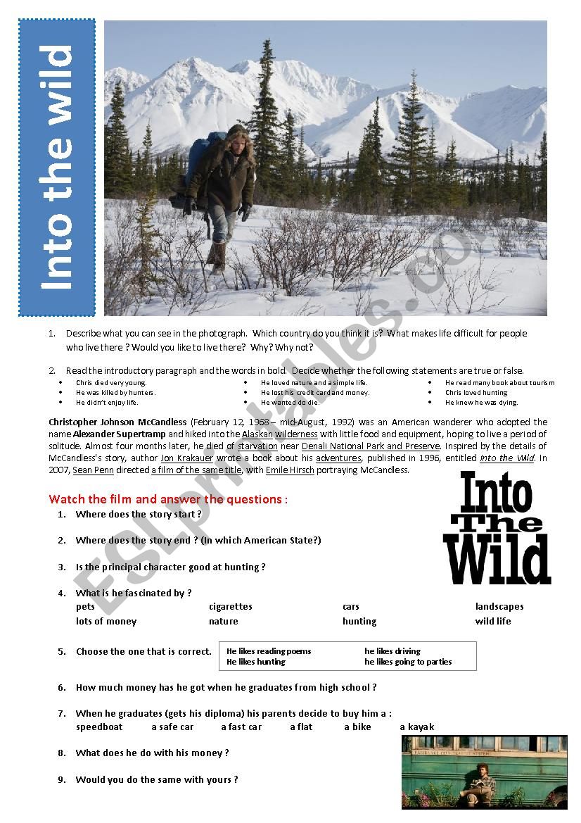 Into the wild (movie) worksheet