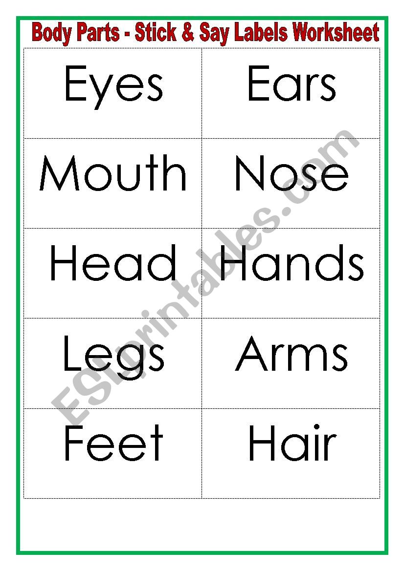 body parts worksheet