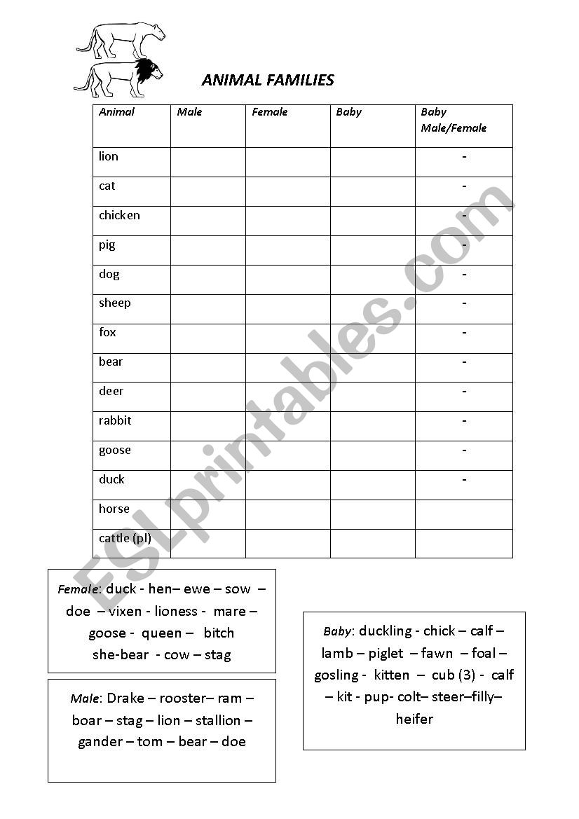 Animal Families worksheet