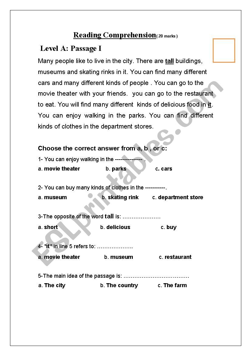 reading  worksheet