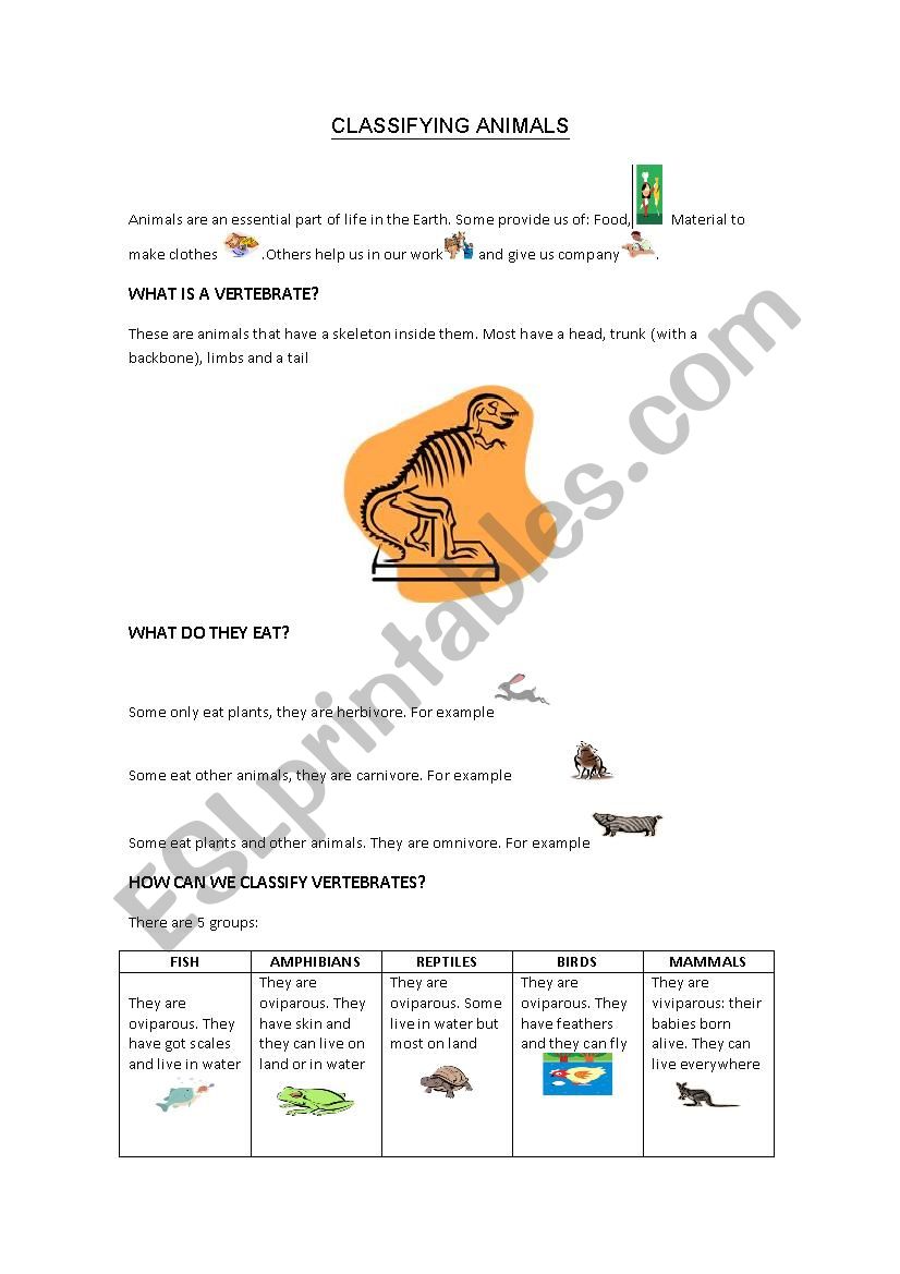 classifying animals worksheet