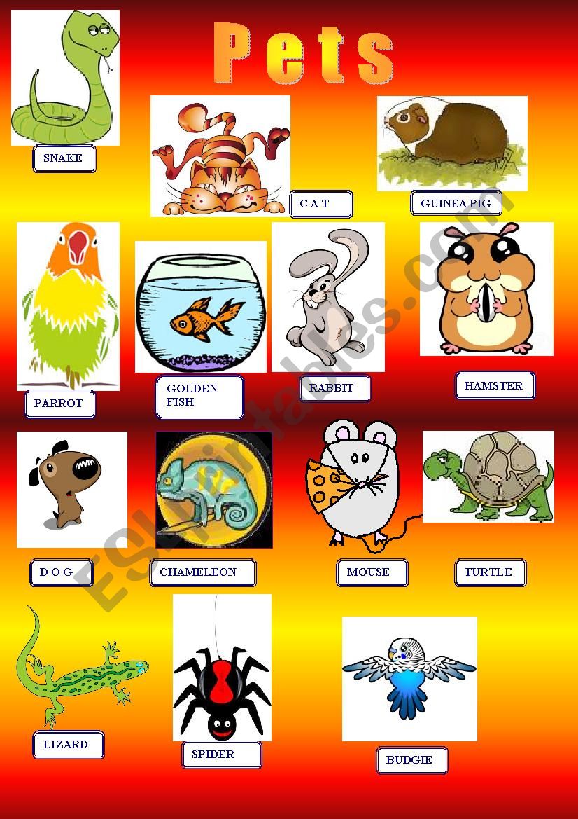 pets clipart worksheet