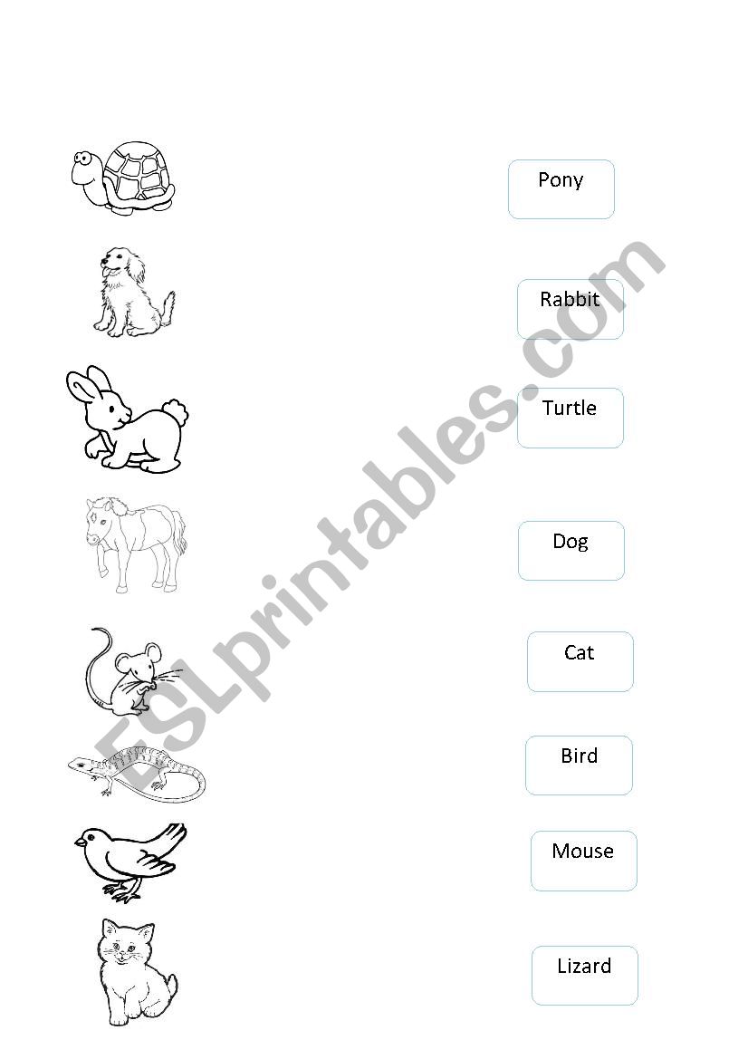 Animals worksheet