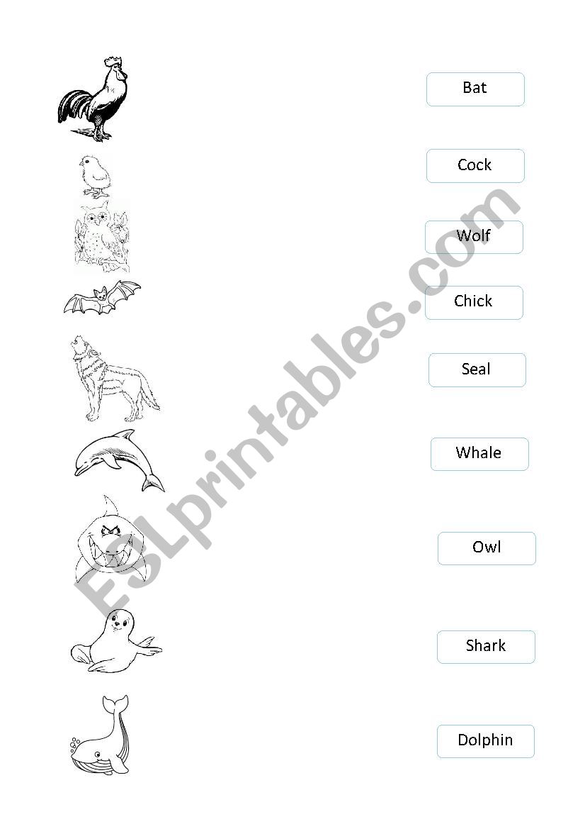 Animals 2 worksheet