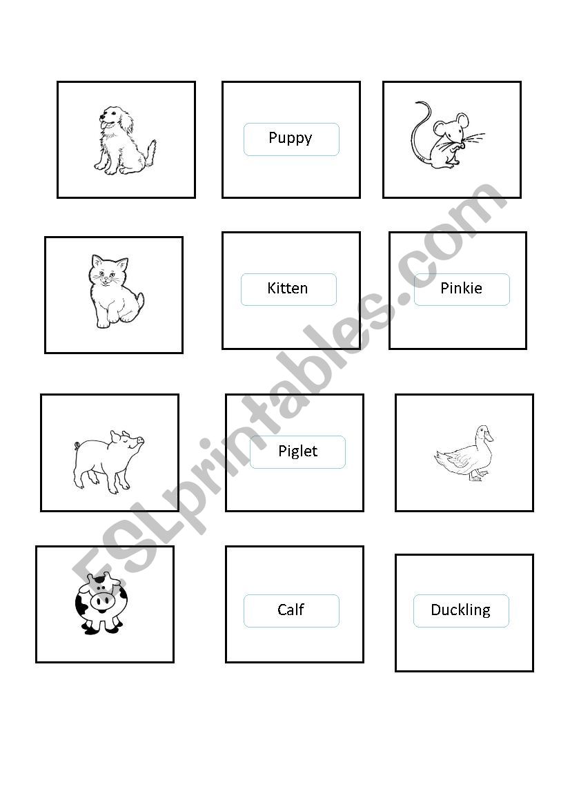 Animals and babies worksheet