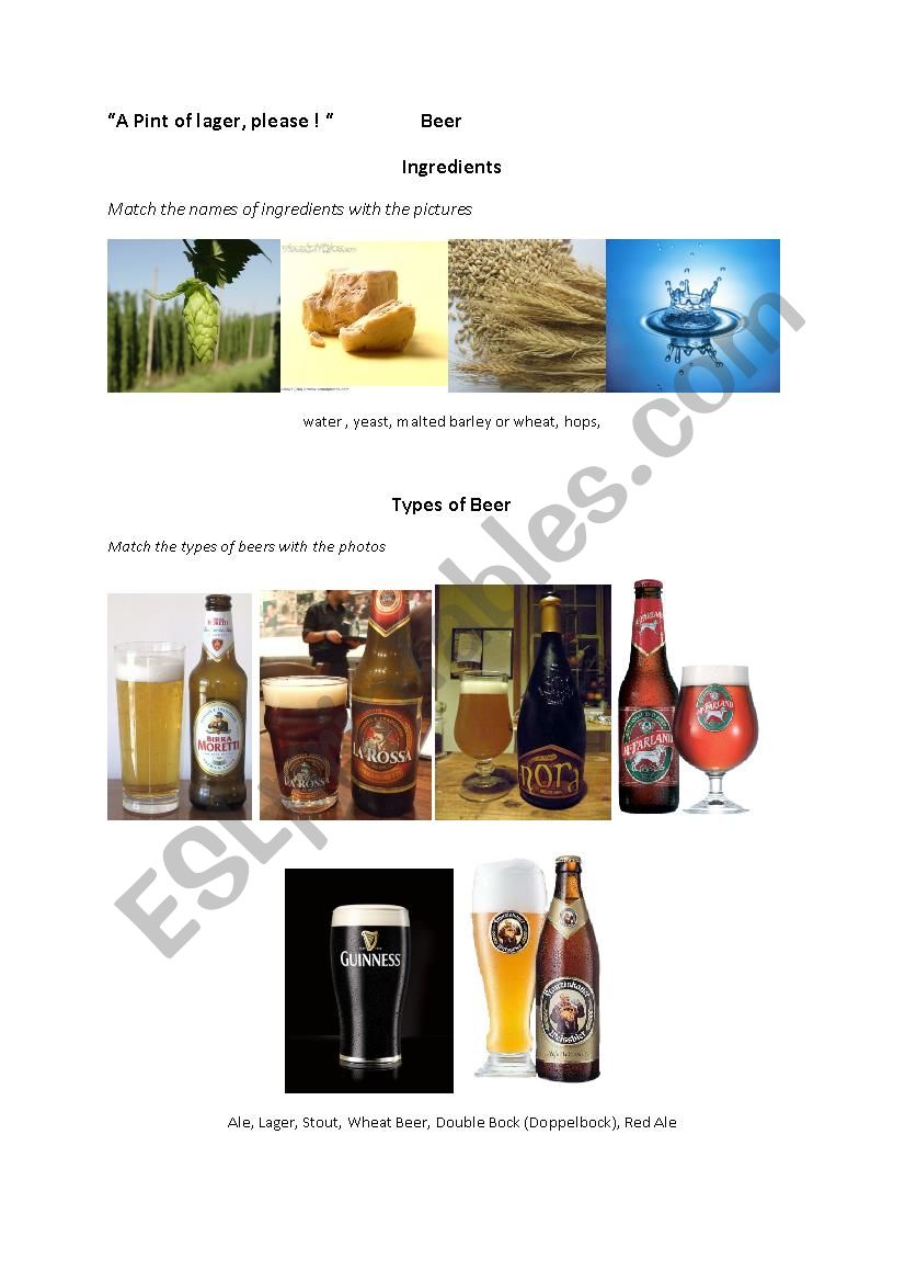 Beer - Introduction worksheet