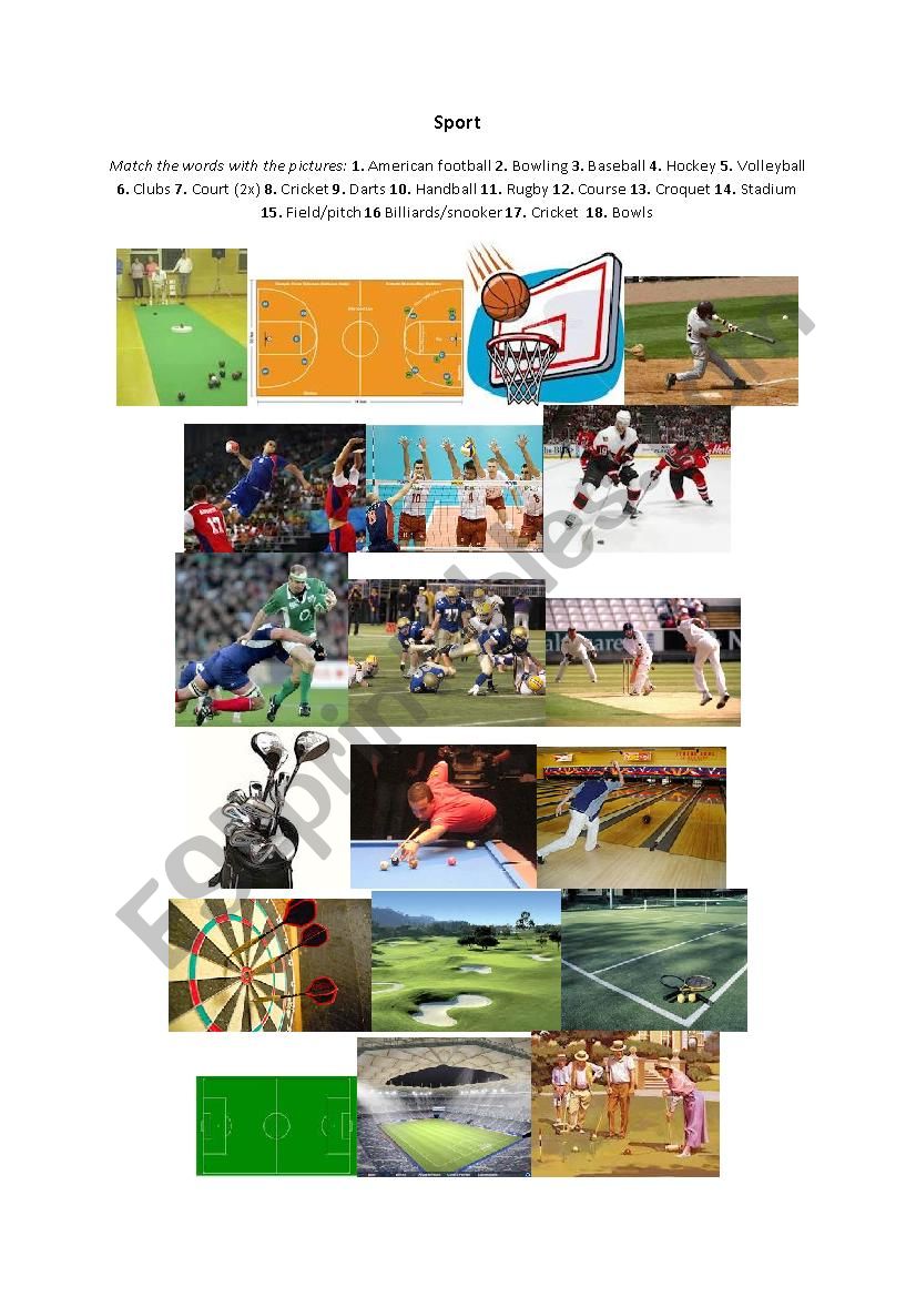 Sport: matching exercise worksheet