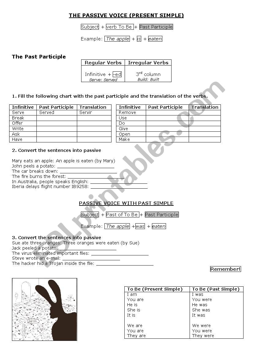 the passive voice (present and past simple