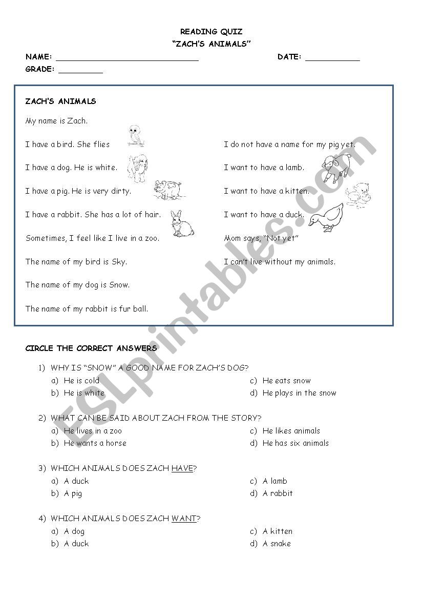 Pets worksheet