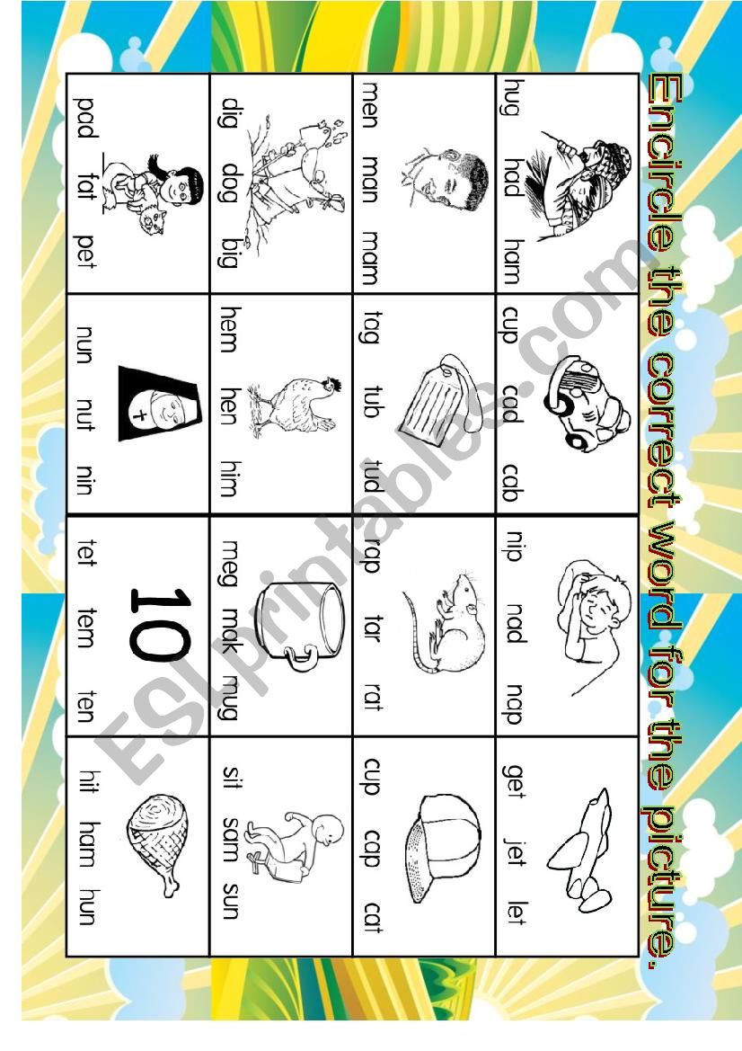 CVC Words worksheet