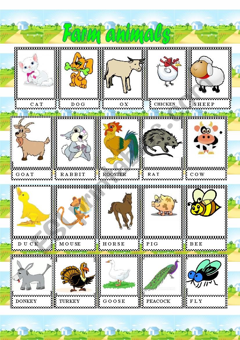 farm animalc small flash cards