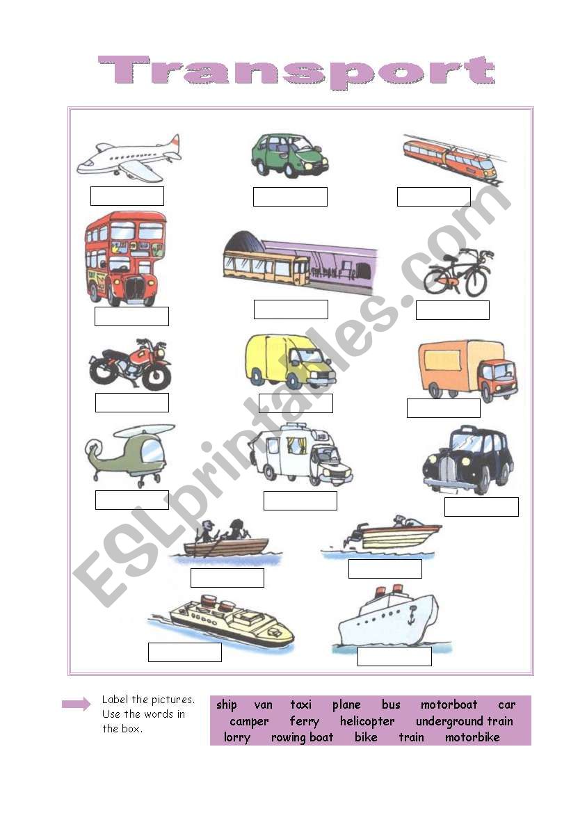 Transport worksheet