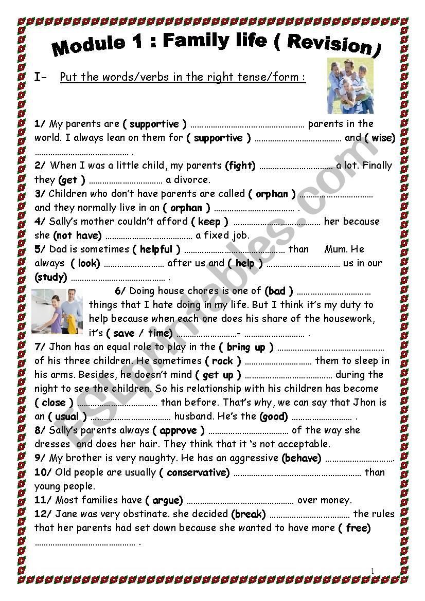 module 1: Family life ( revision)