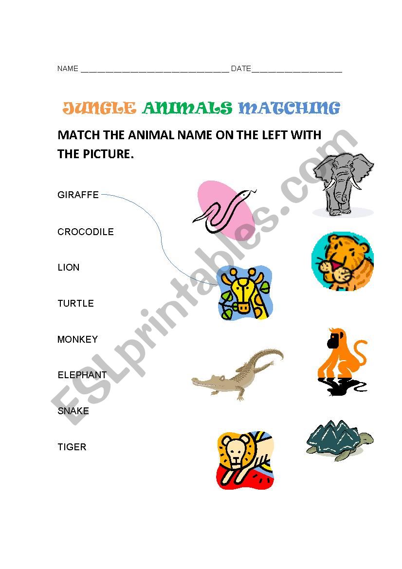 Jungle animals matching worksheet