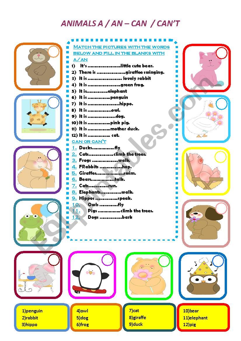 Animals worksheet