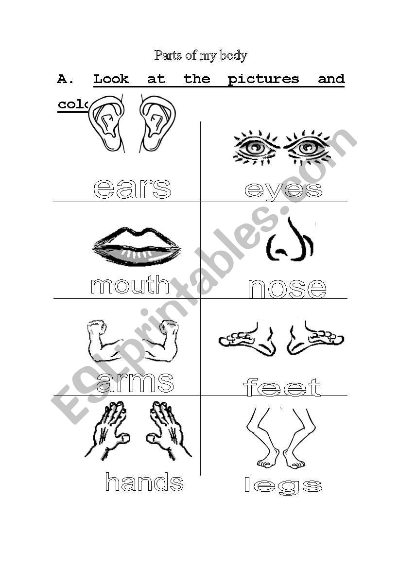 Parts of the body worksheet