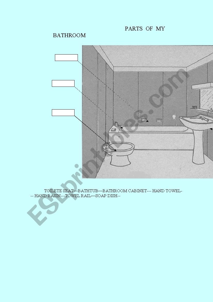 parts of my bathroom worksheet