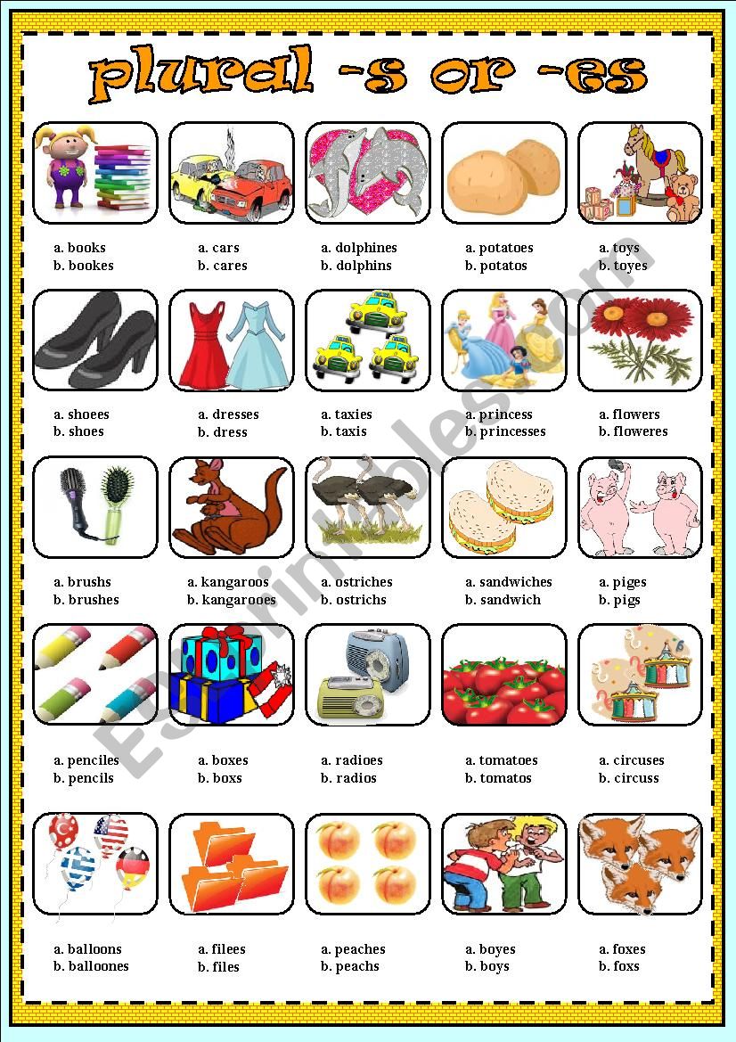 plural -s or -es worksheet