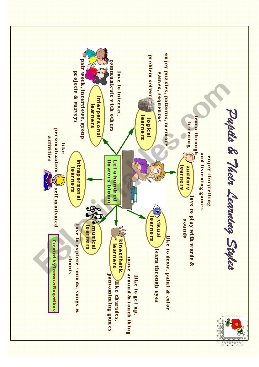 Pupils & their Learning Styles