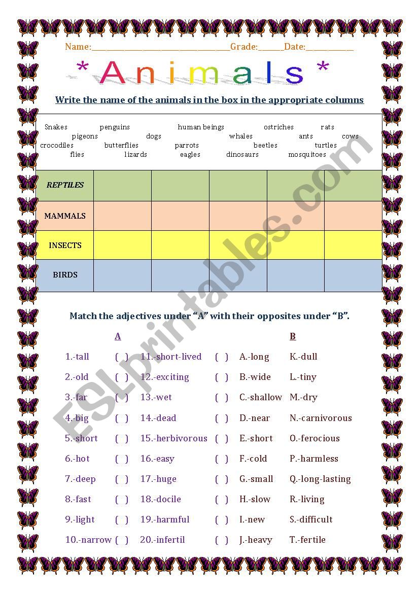 Animals worksheet