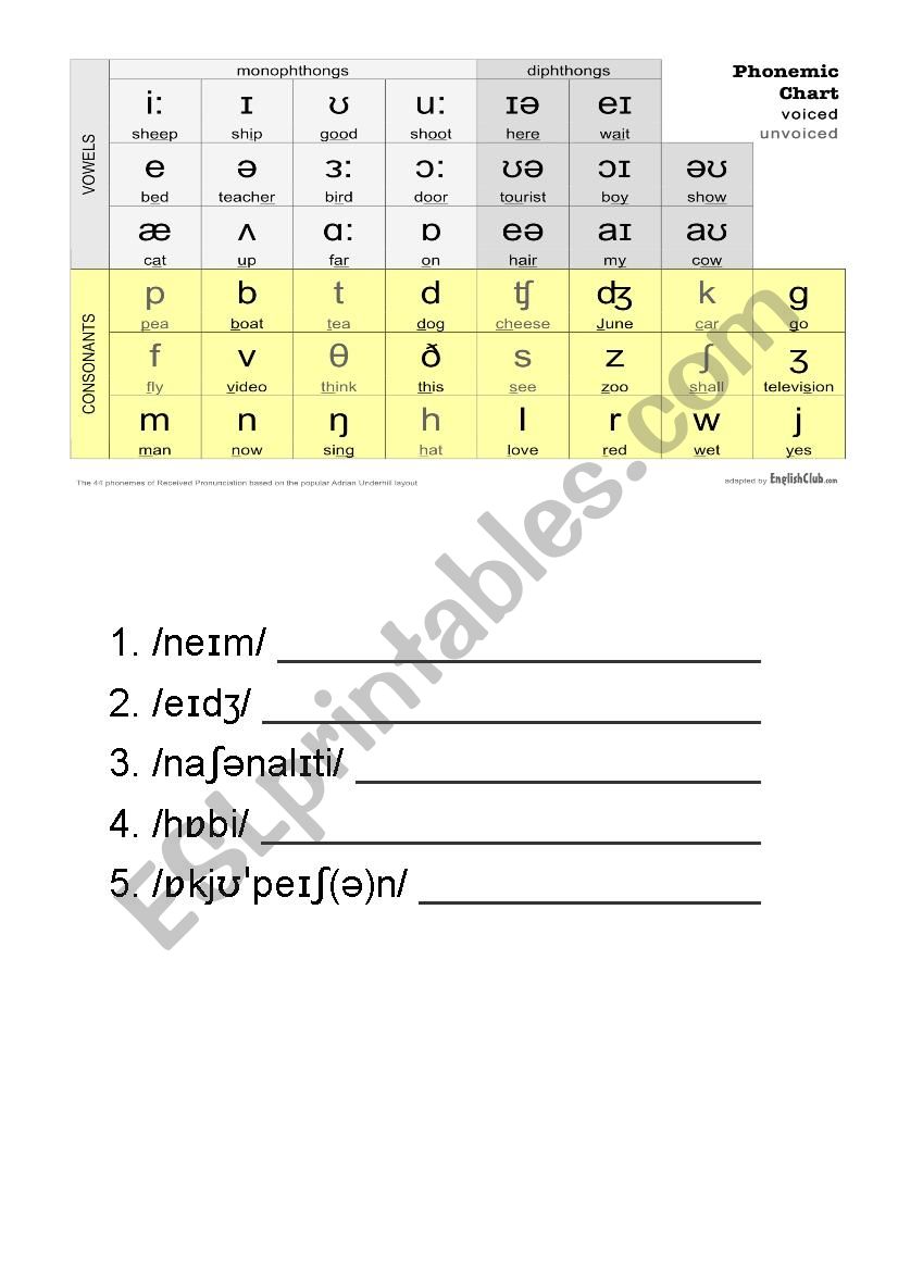 Phonemic chart worksheet worksheet