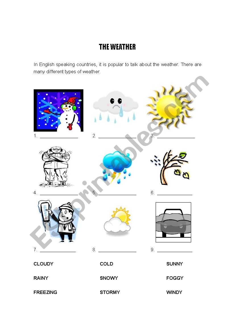 THE WEATHER worksheet