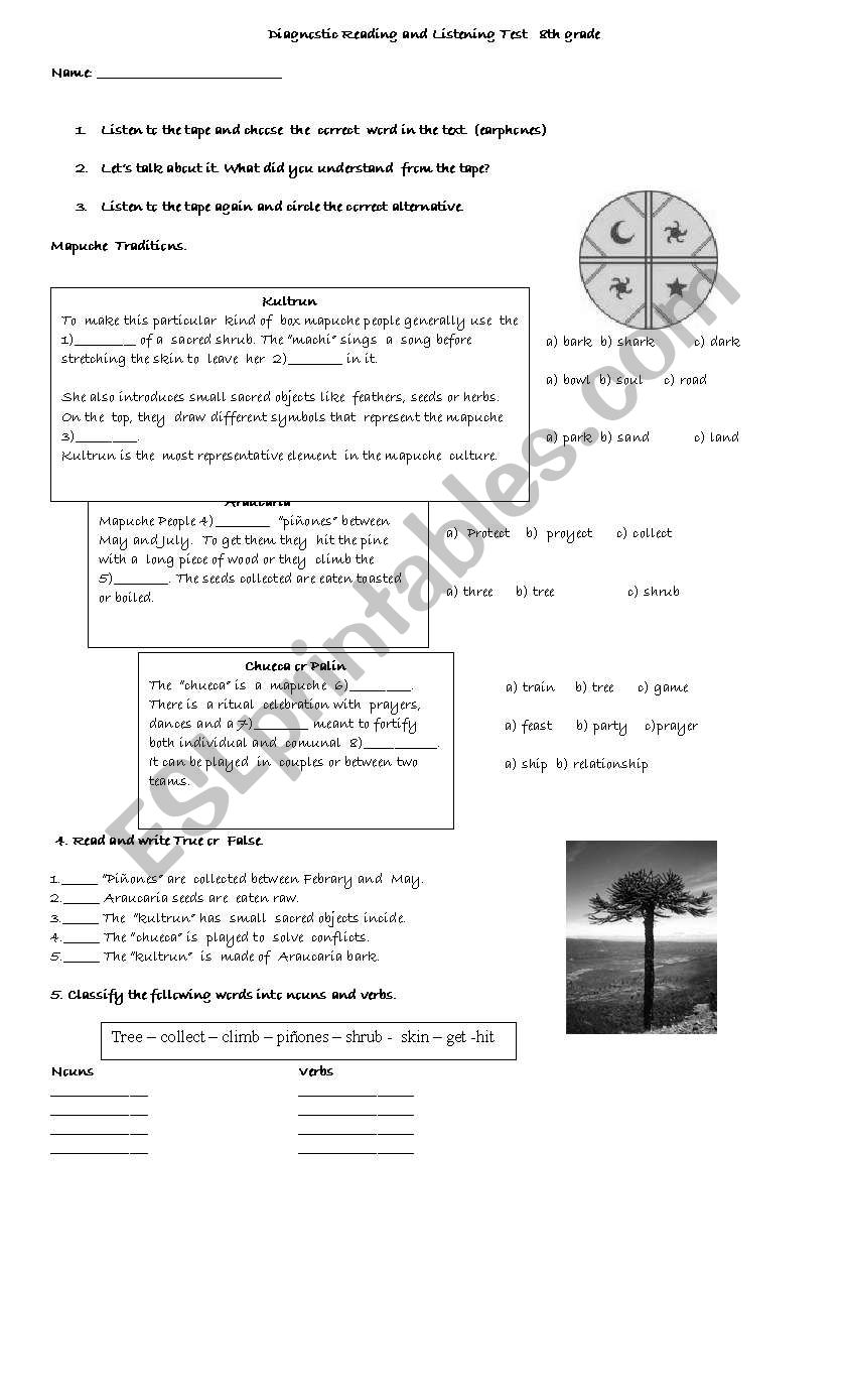 Mapuche Culture worksheet