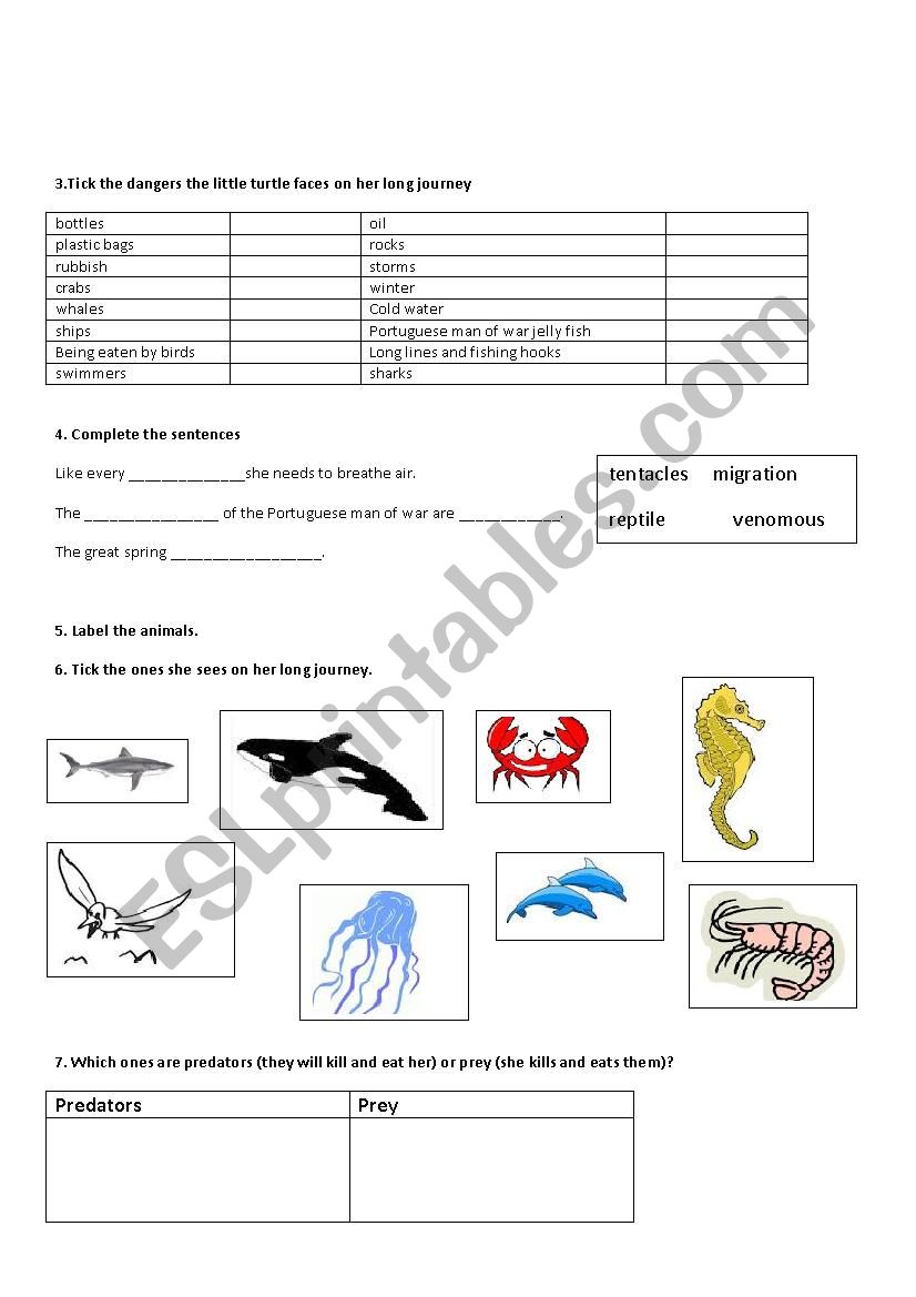 Turtle - An Incredible Journey - film worksheet - ESL worksheet by Throughout Turtle The Incredible Journey Worksheet Turtle - An Incredible Journey - film worksheet - ESL worksheet by Throughout Turtle The Incredible Journey Worksheet