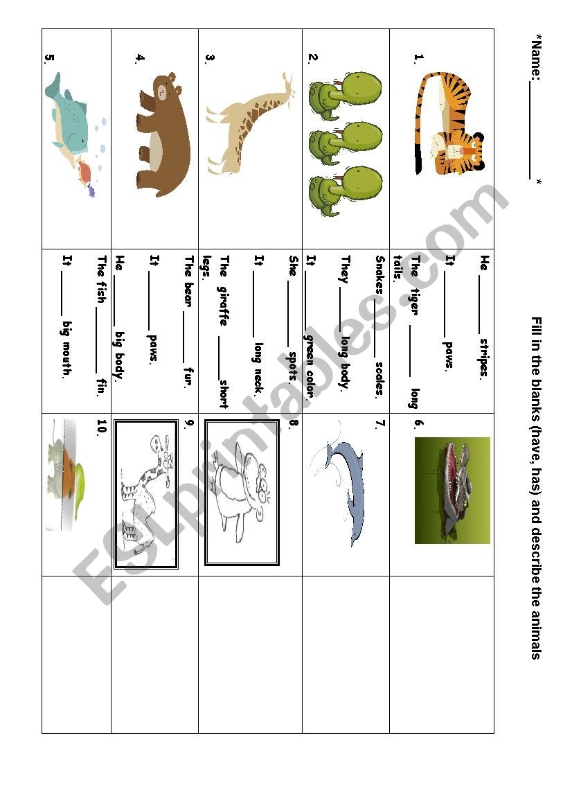 Describe Animals (have, has) worksheet