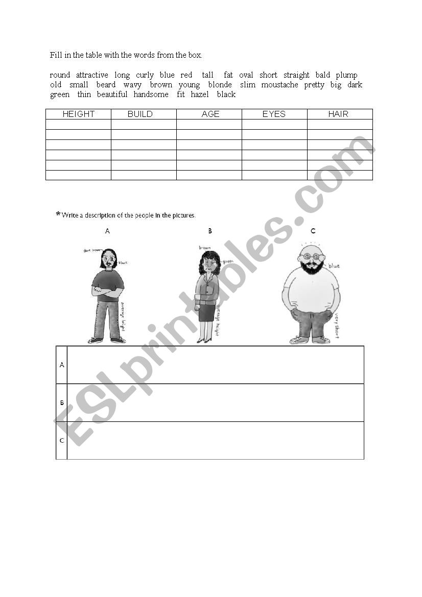 Describing a person worksheet