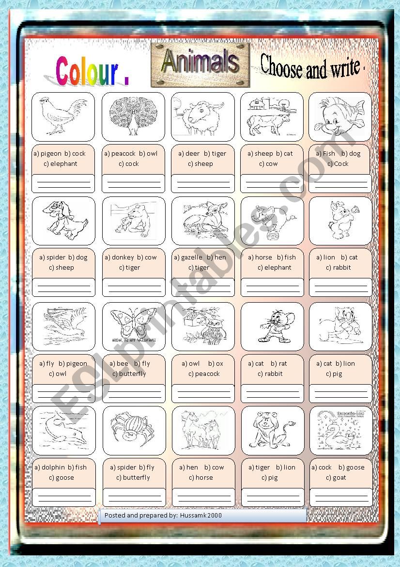 Animals worksheet