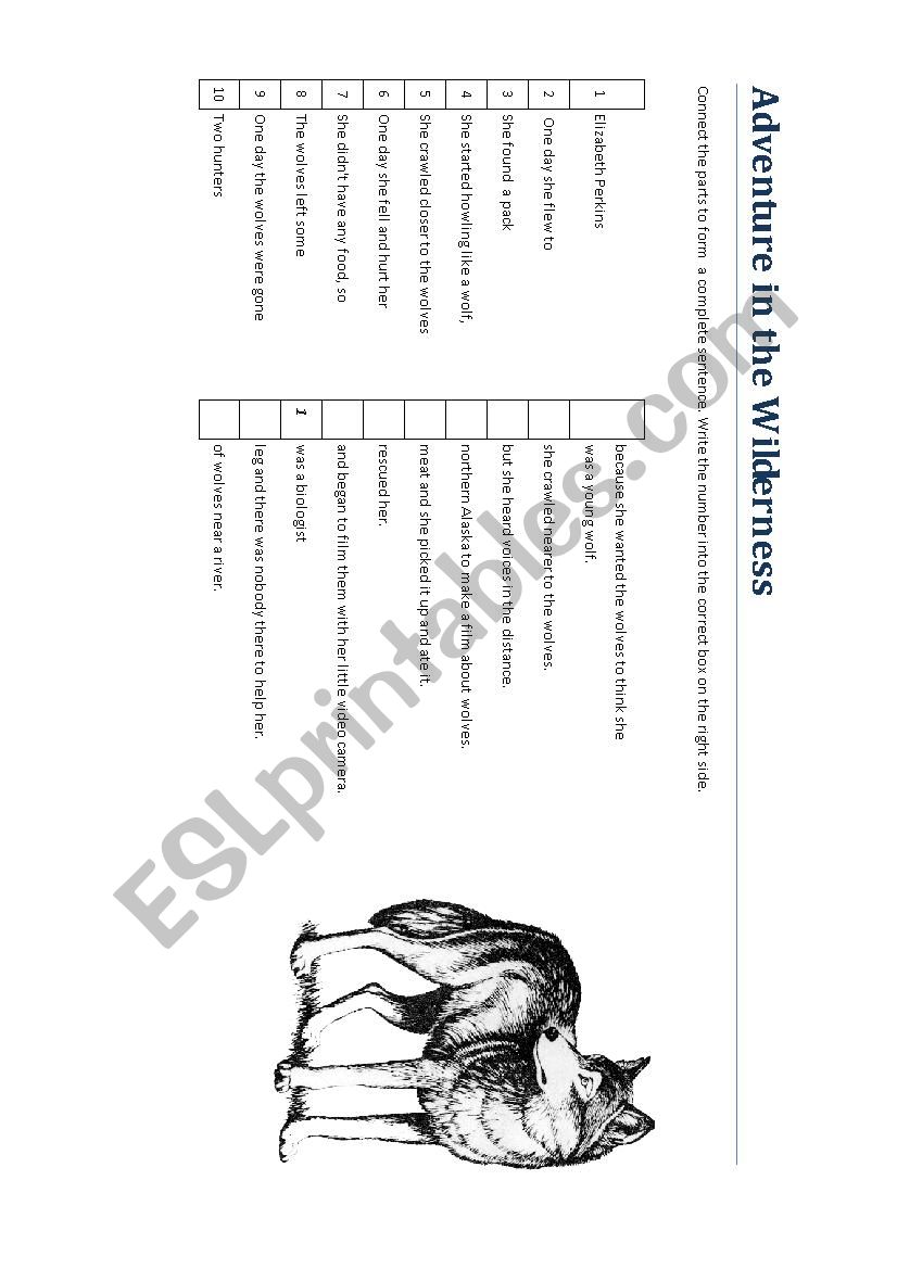 Adventure in the Wilderness - connect the sentences