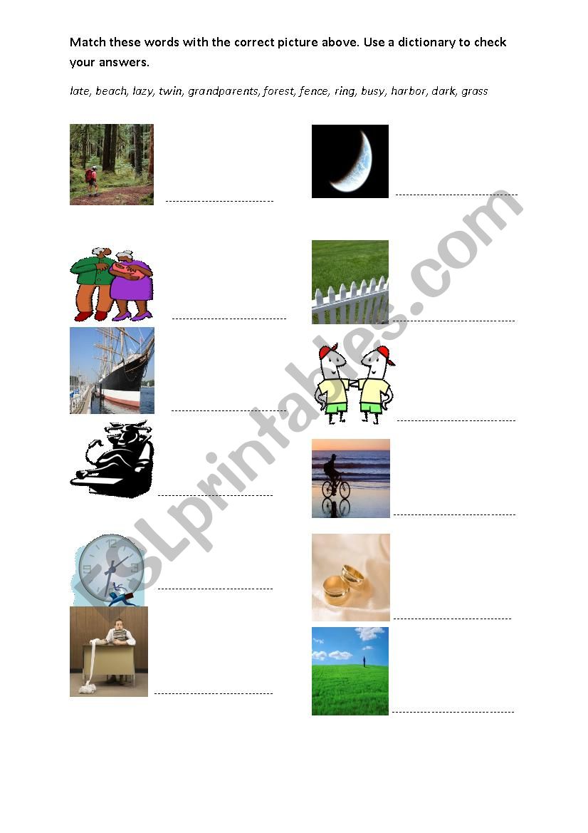 vocabulary  worksheet