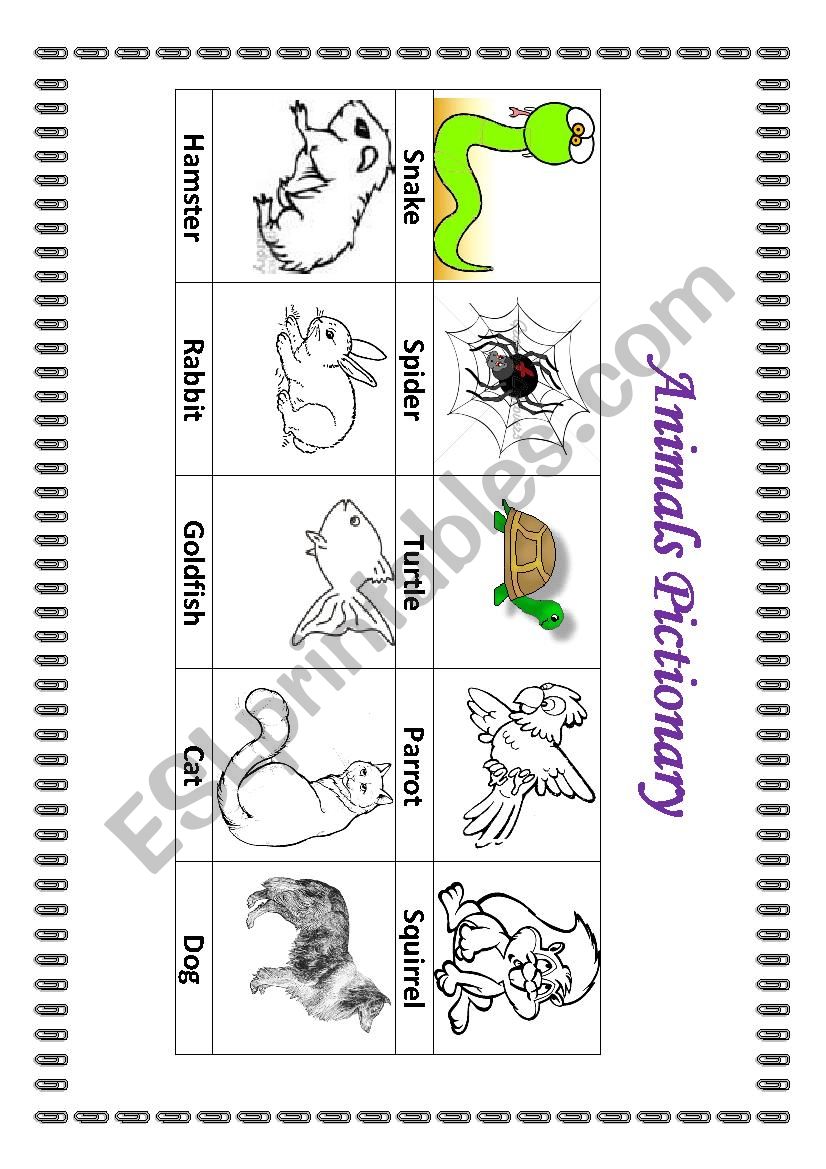 Animals pictionary worksheet