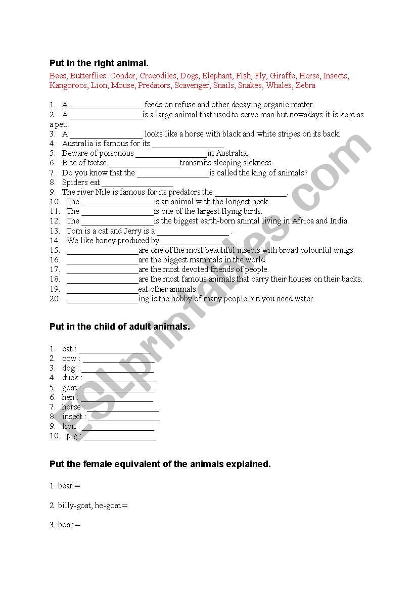 Animal quiz worksheet