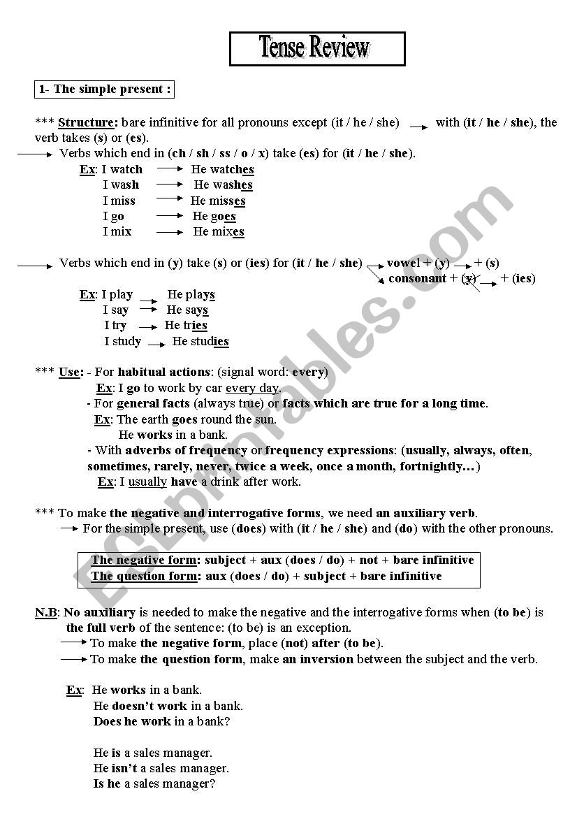 simple present worksheet