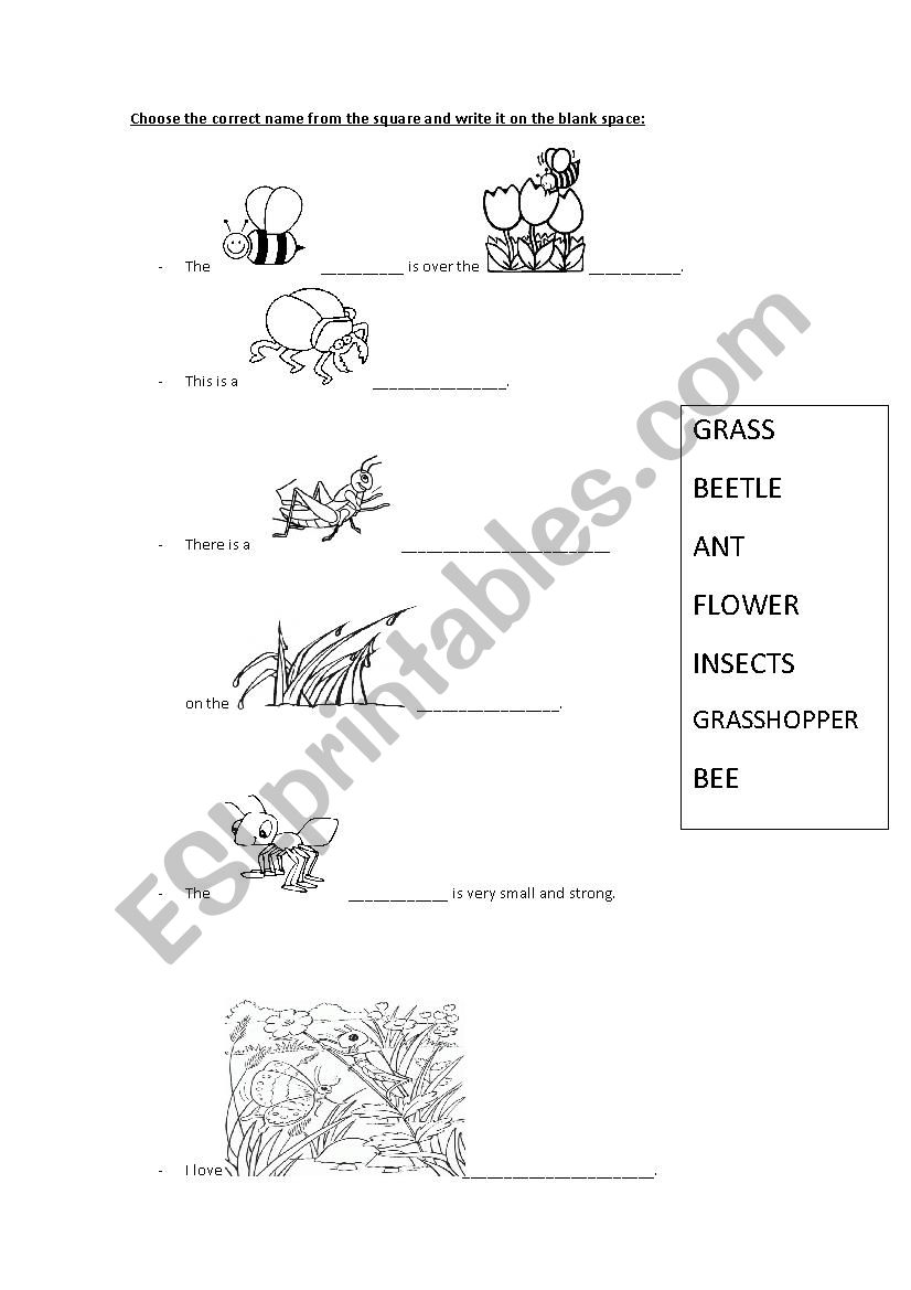 Insects and nature worksheet