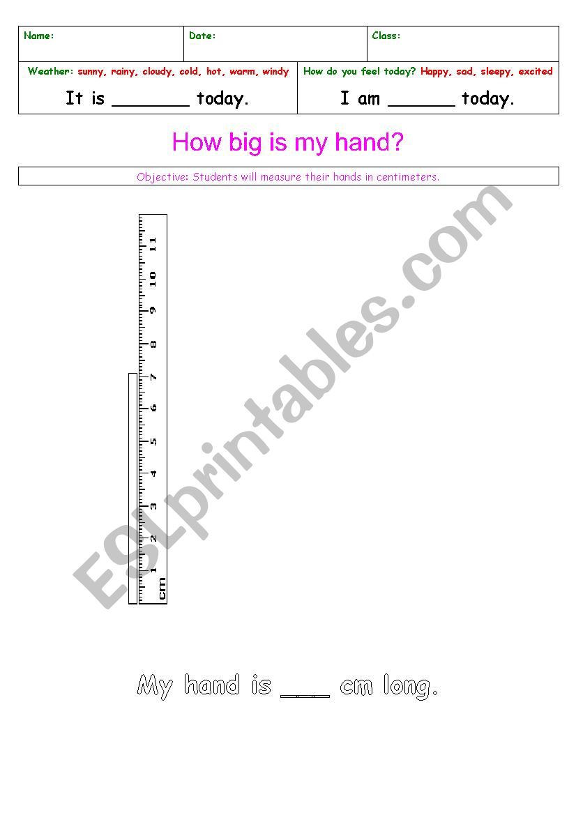 how big is my hand? worksheet
